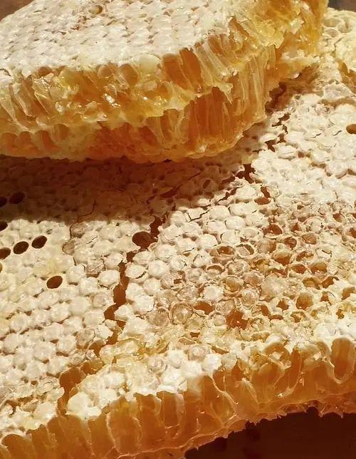 最土的是它，最甜的也是它｜董峰蜂蜜