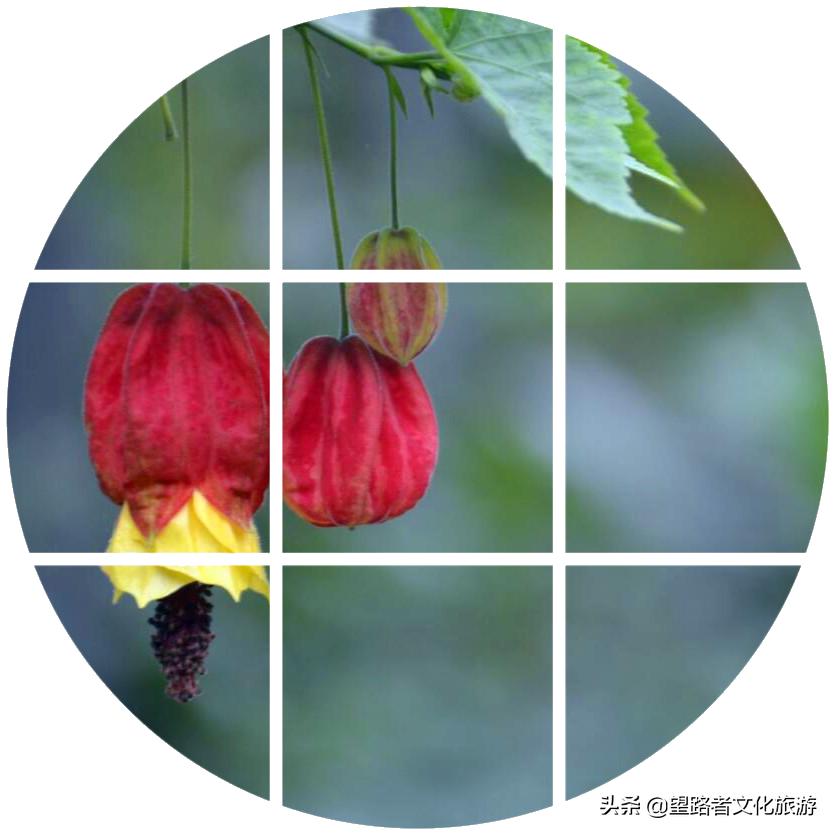 旗山农家小院,旗山农家乐