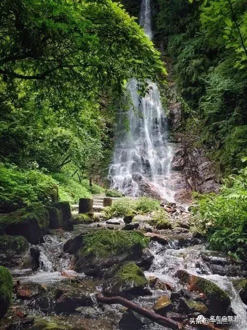 兰州到甘谷绿巨人开通时间,兰州至上海绿巨人