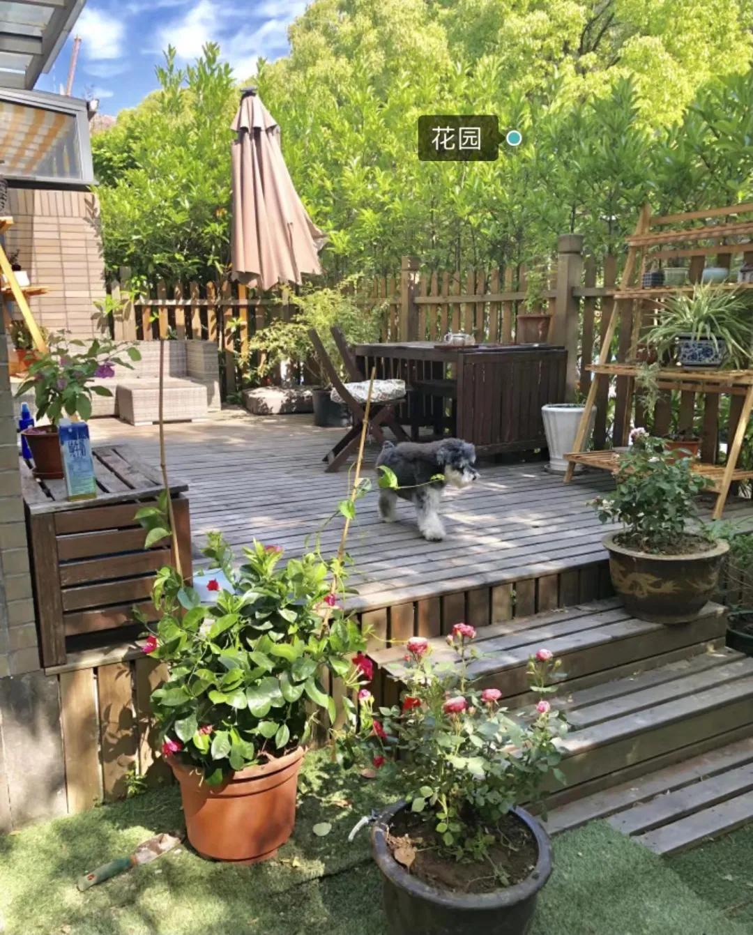 一楼值不值得买,现在新小区的一楼值不值得买