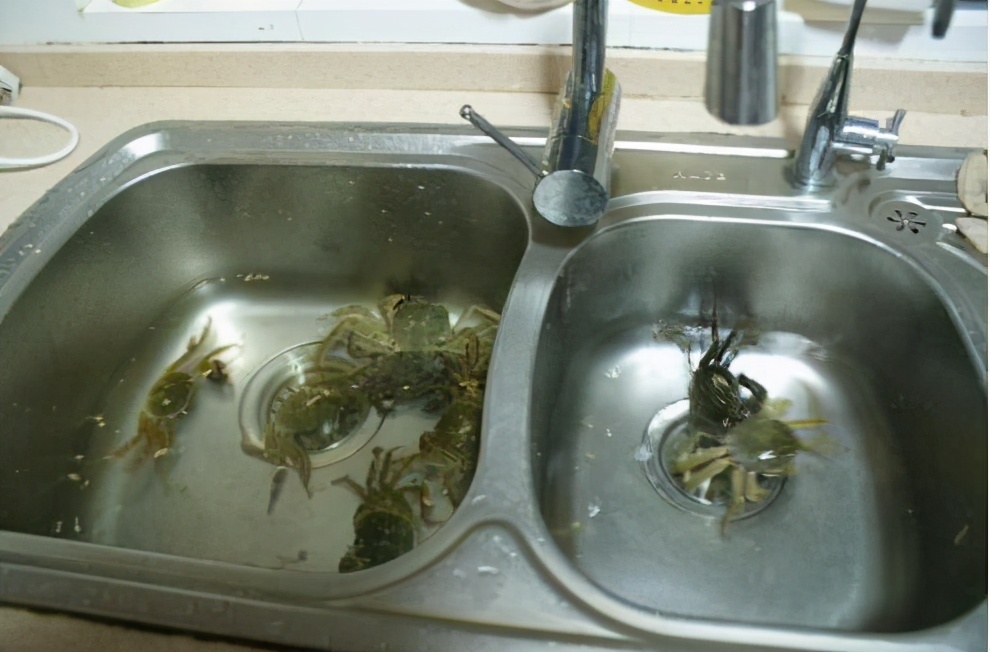 螃蟹买回来吃不完怎么存放,买回来的螃蟹暂时不想吃怎样保鲜