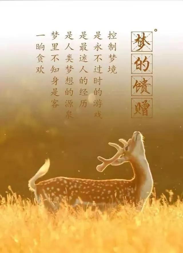 斯坦福博士告诉你：清醒梦*行为性**真的存在吗？