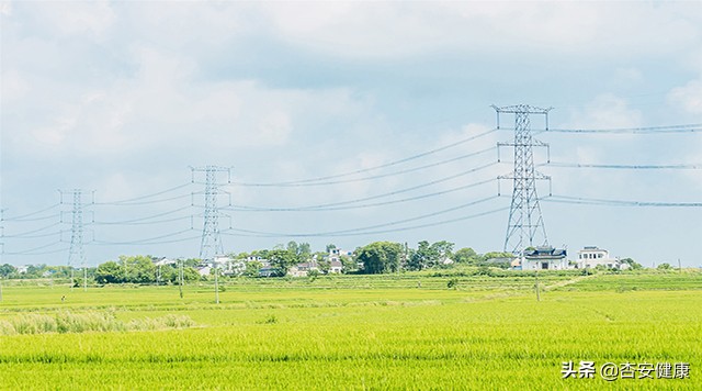黄圆媛讲过敏益生菌,黄圆媛儿童过敏