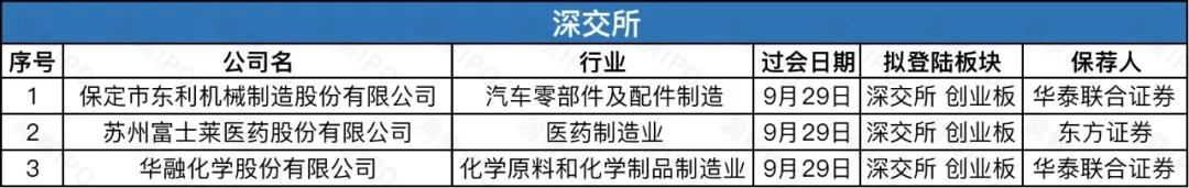 a股半年盘点173家公司ipo领跑全球,中国a股ipo操作实务及案例分析