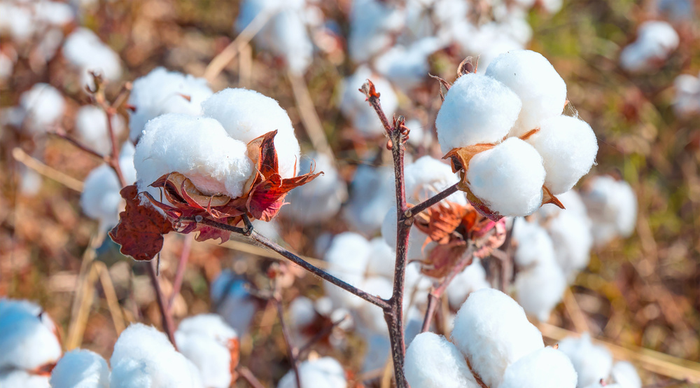 男人夏天潮流穿搭,男士穿搭30岁轻熟风夏天t恤