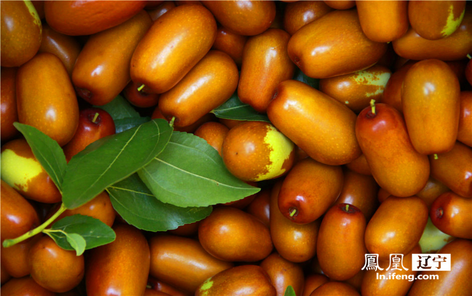 朝阳特色农产品哪里买,朝阳农产品市场