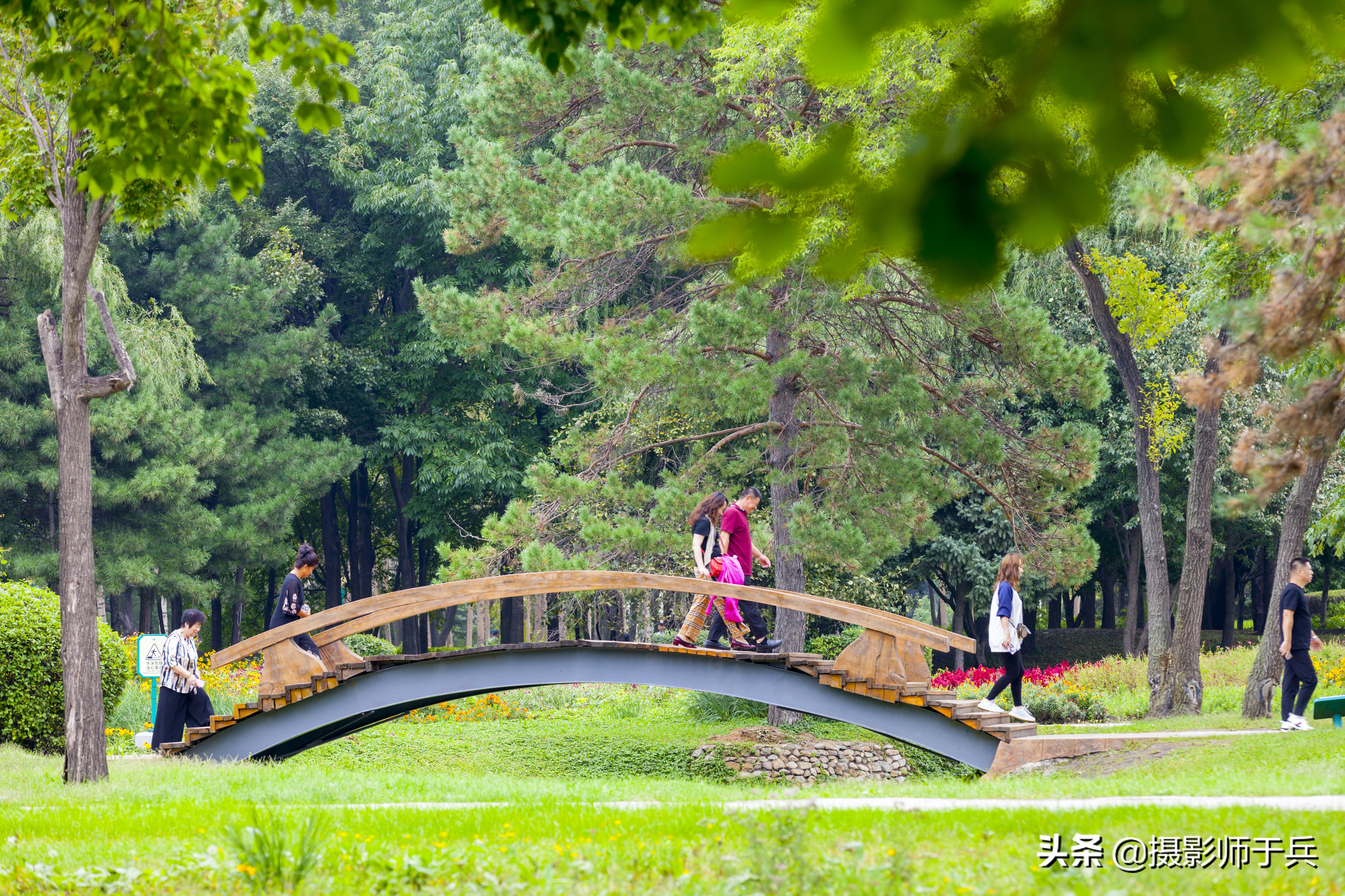 哈尔滨太阳岛美丽的秋色,哈尔滨美丽的太阳岛