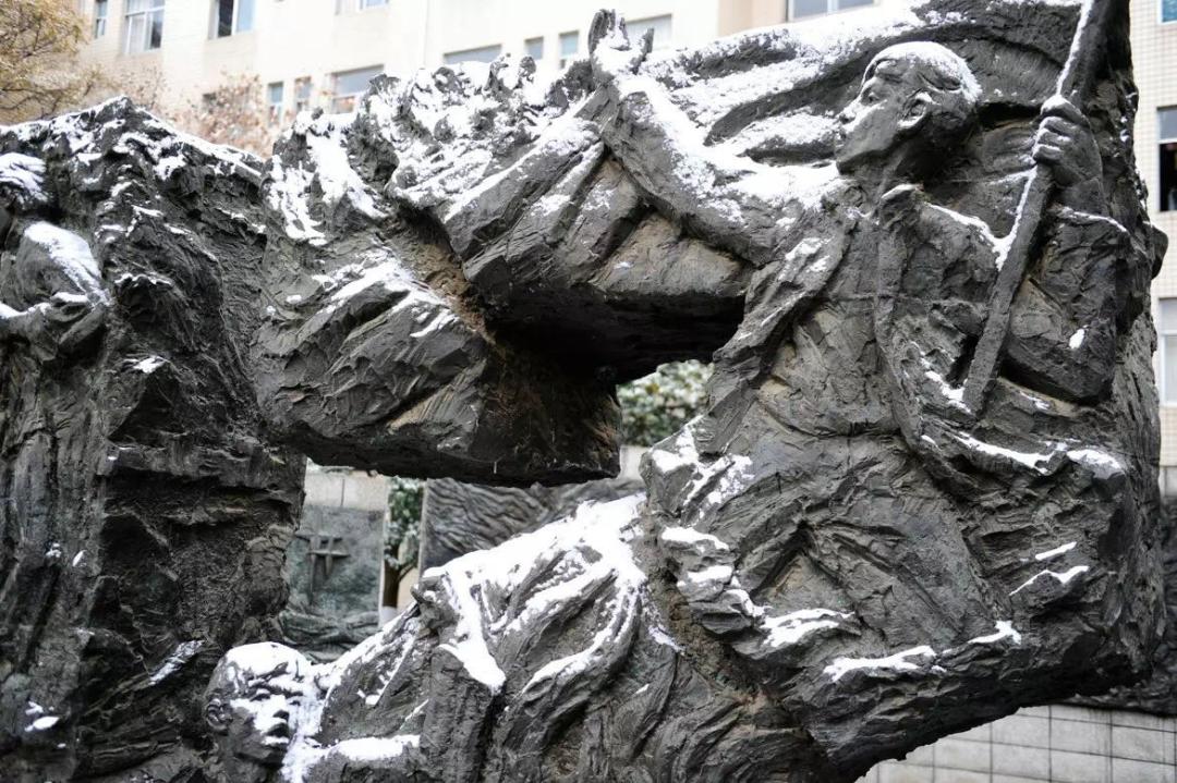 昆明动物博物馆免费开放时间,昆明博物馆和云南博物馆哪个好