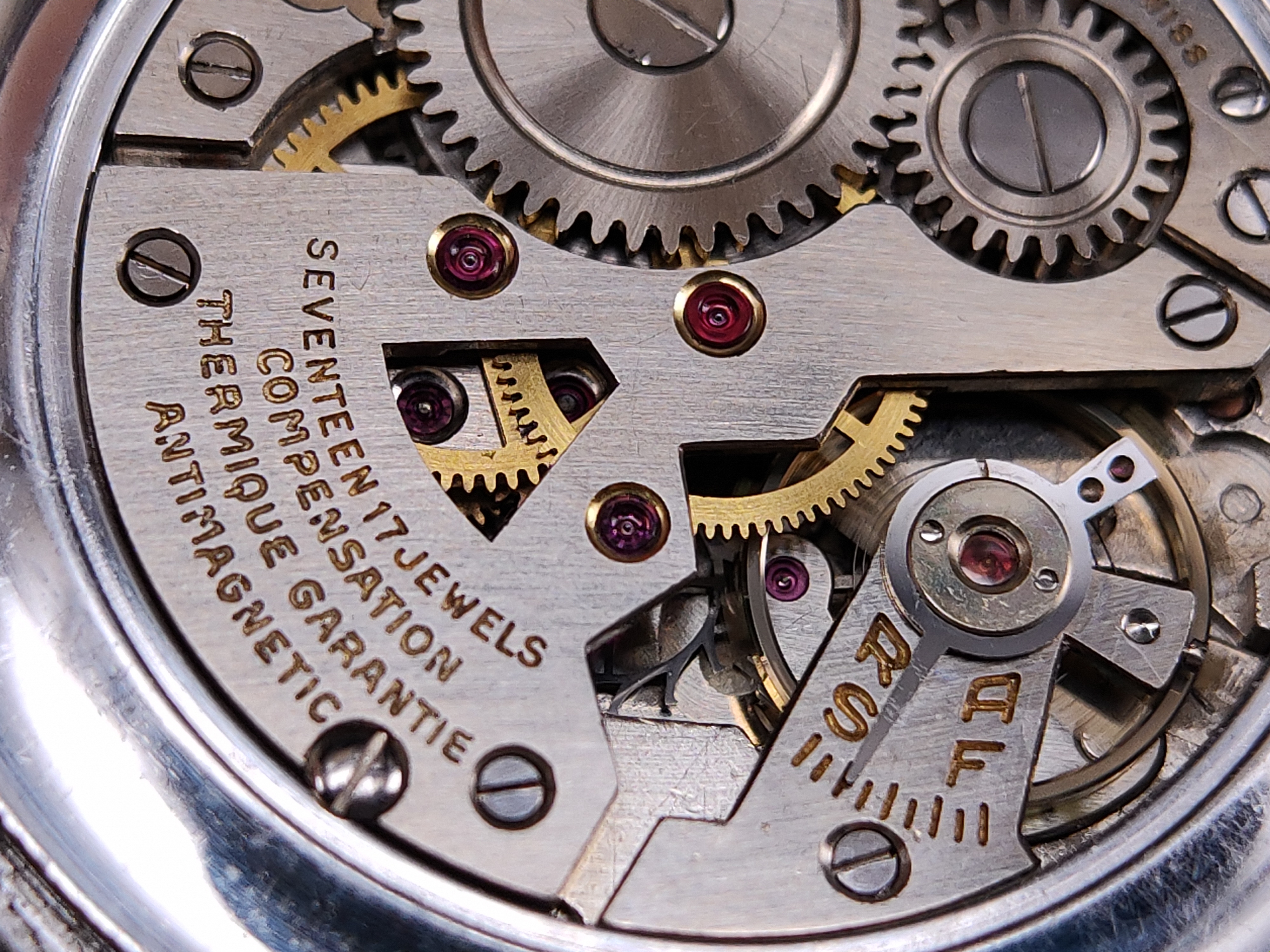 因为一条鱼爱上一个人,因一条鱼丢了一条命