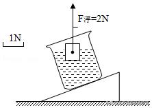 初二物理力讲解图,北方课堂初中物理