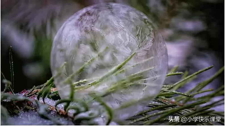 描写冬天的词语和诗句简短,冬天的成语和冬天的诗