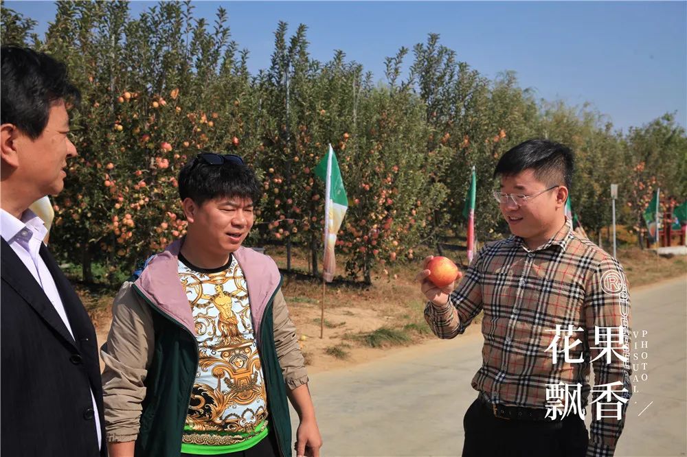 一箱水果能赚多少钱,一箱水果利润多少