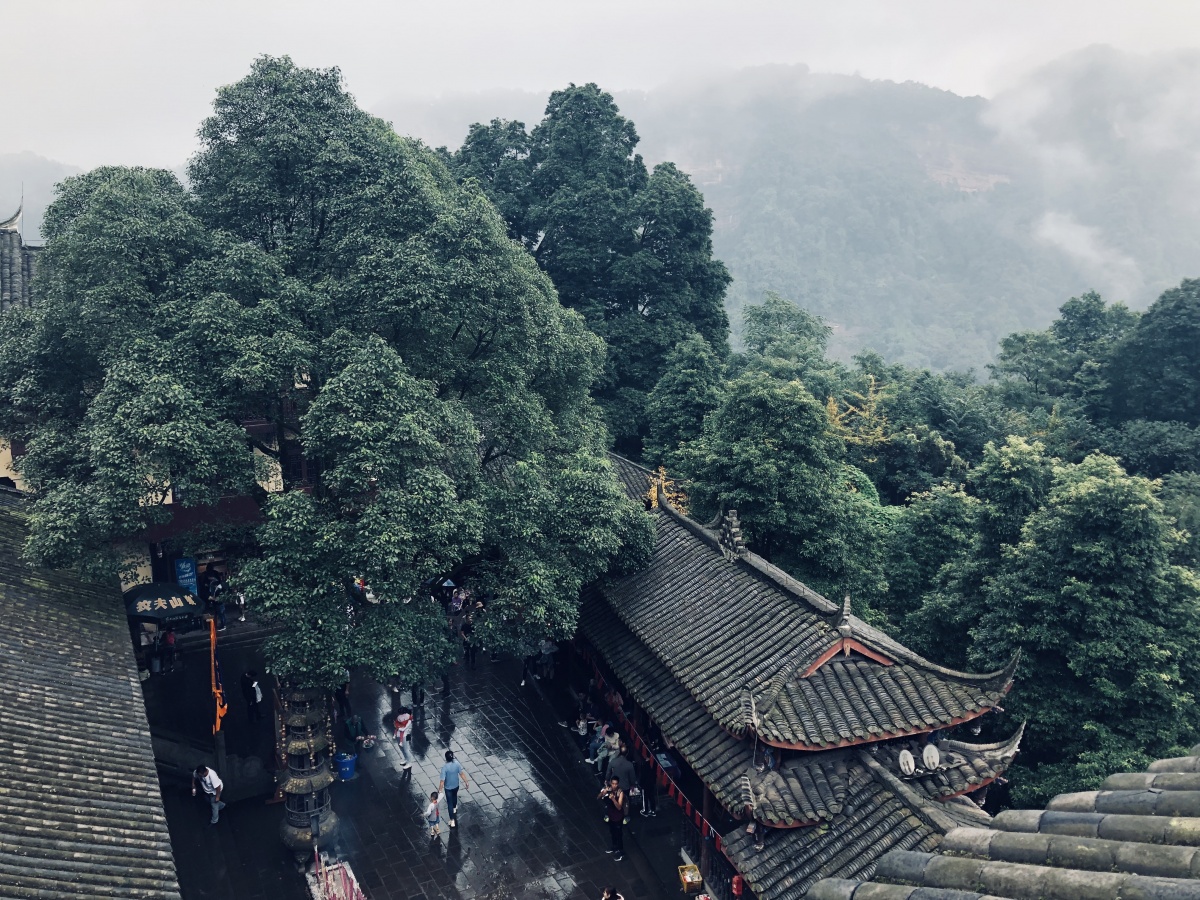 四川哪些地方值得打卡旅游,四川哪里的旅游最具有特色