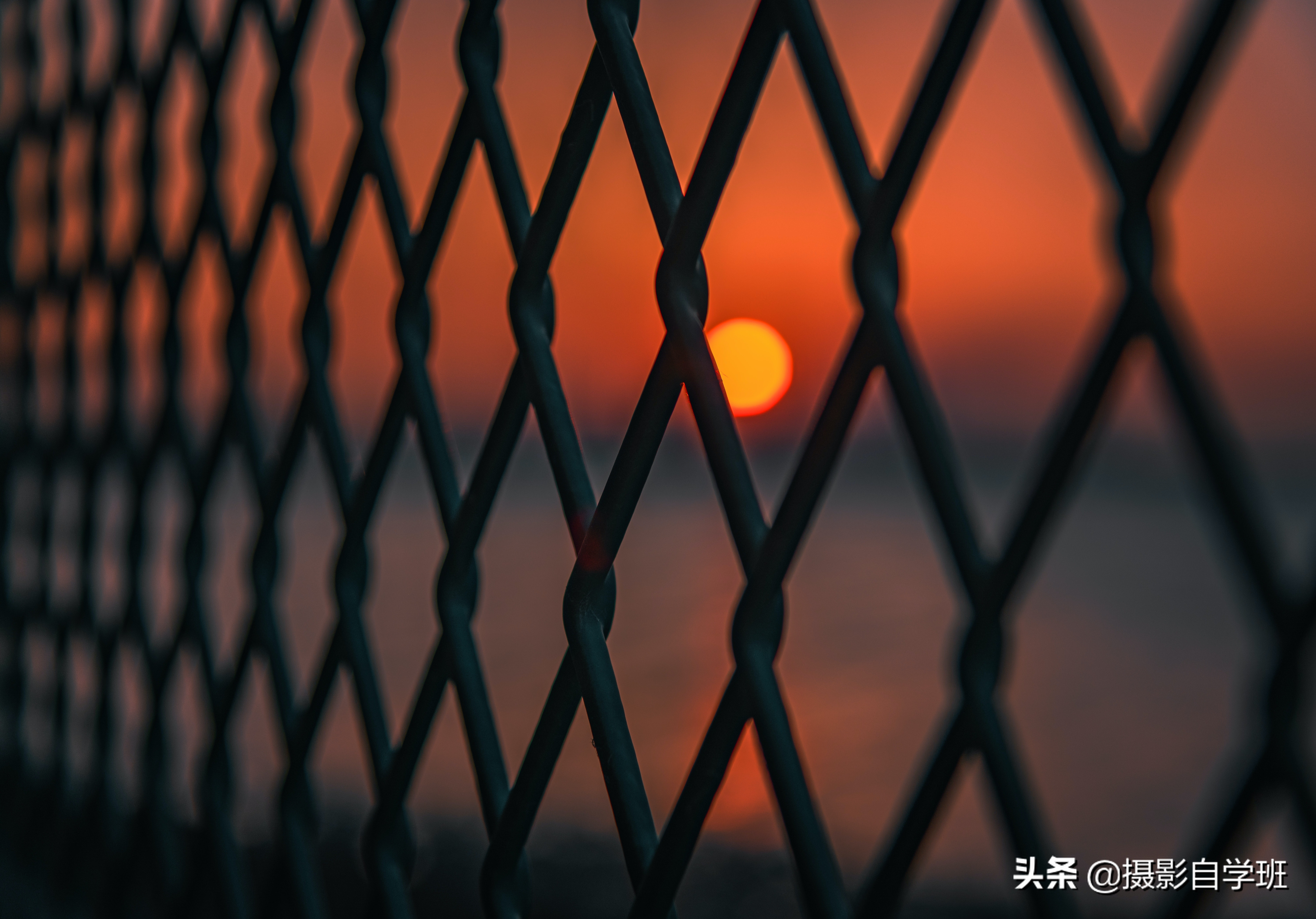 手机拍照11个绝招推荐,手机拍照技巧100个图解