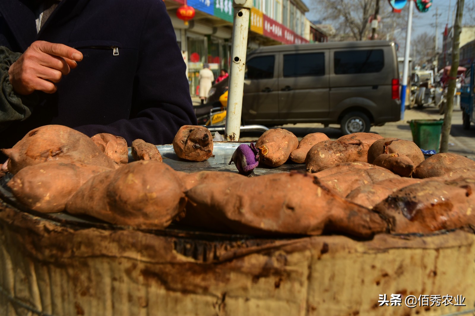 红薯种植一亩能产多少斤多少利润,农村红薯蔬菜种植最赚钱