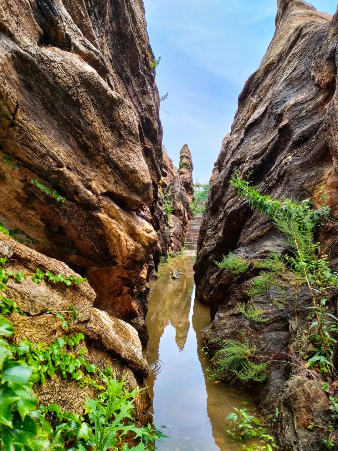 大连金石园奇石名称,大连市金石园