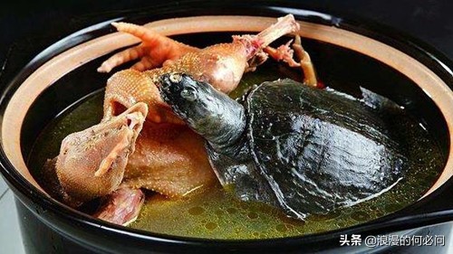 正宗的八大菜系,八大菜系都有哪八大菜