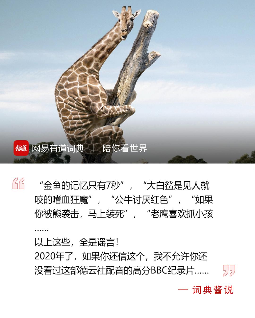 被“青春伤痛文学”冤枉了十几年，金鱼：我的记忆真的不止7秒