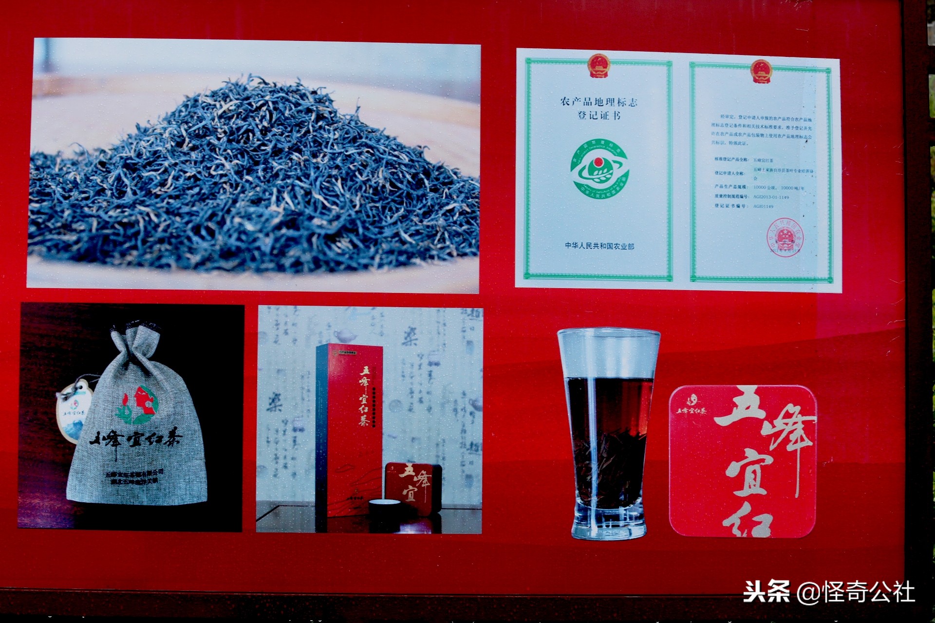 五盖山云雾贡茶历史渊源,高山云雾茶五指山红茶特点