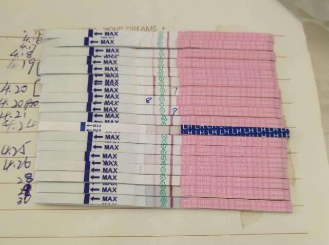 备孕一个月有多少个卵子,备孕女性多重可以怀孕