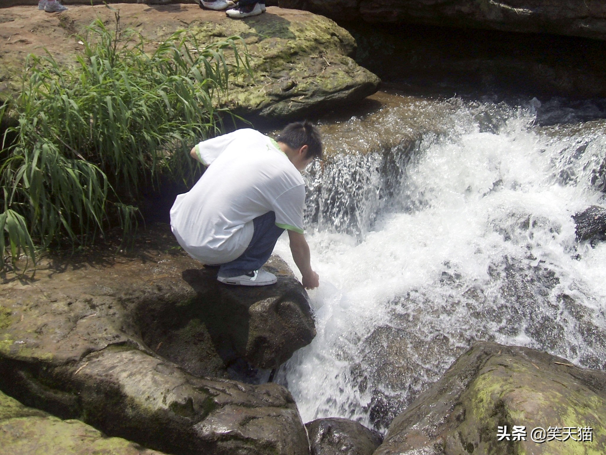 四川宜宾竹海风景,宜宾蜀南竹海全视频