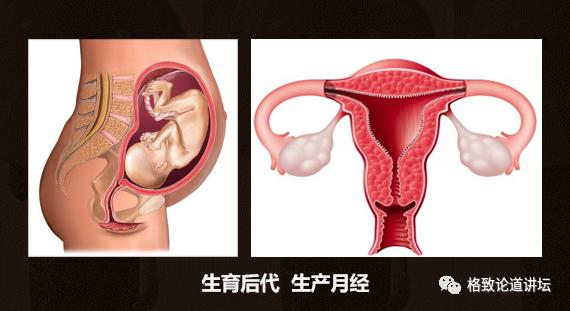 身为女人的我们如何保护好自己,作为人类我们如何保护地球