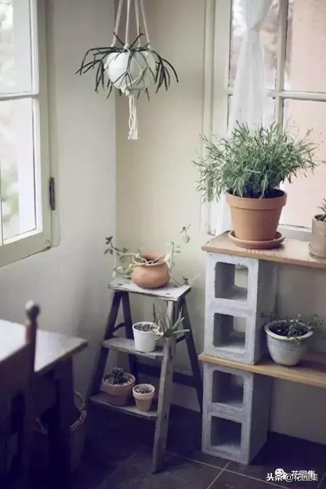 水泥砖的庭院太惊艳了,庭院小型水泥砖