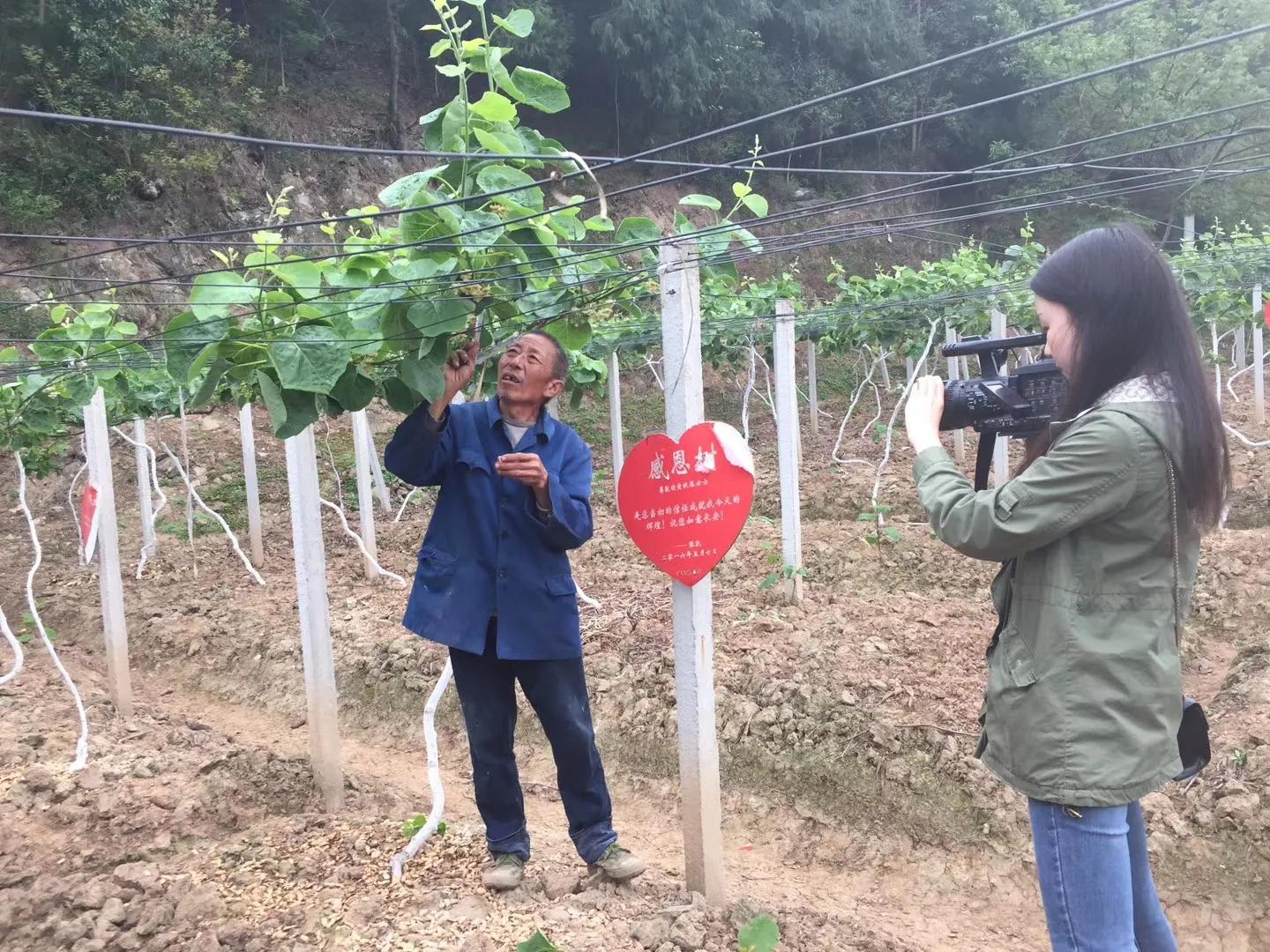 70岁以上农民借钱,60岁农民有什么贷款可以借