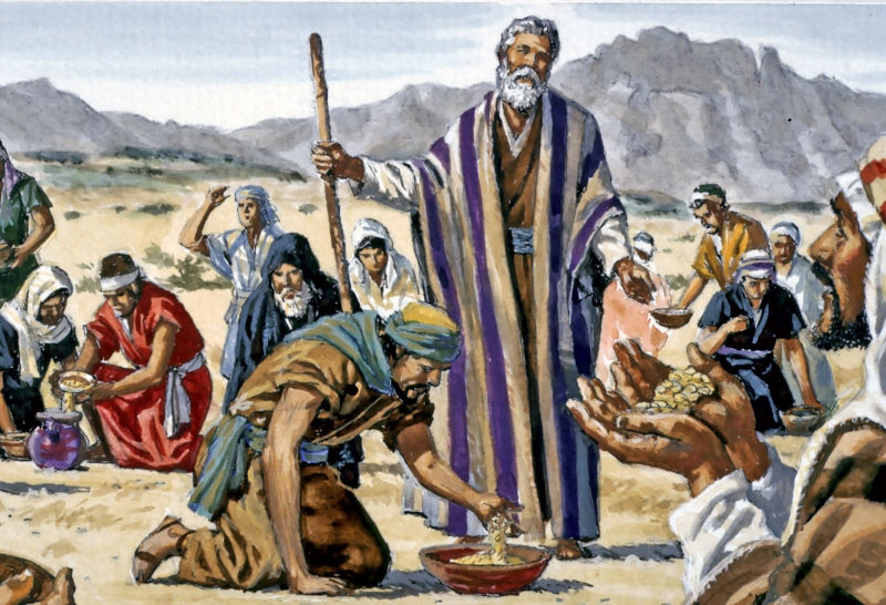 犹太人和巴勒斯坦人有什么区别,犹太人和以色列人有何区别