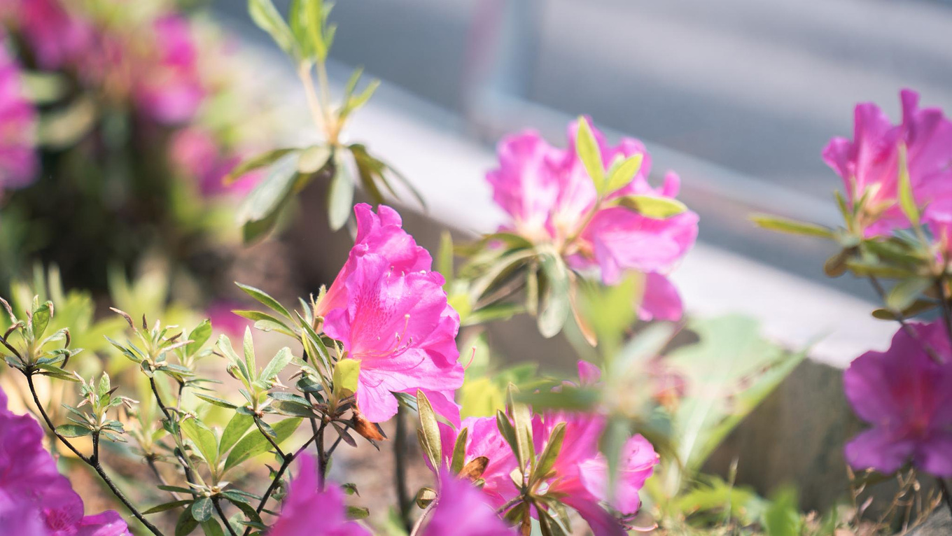 安徽天柱山有哪些好玩的景点推荐,安徽天柱山附近还有什么山