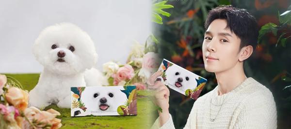 美业化妆品营销方案,化妆品营销的未来趋势