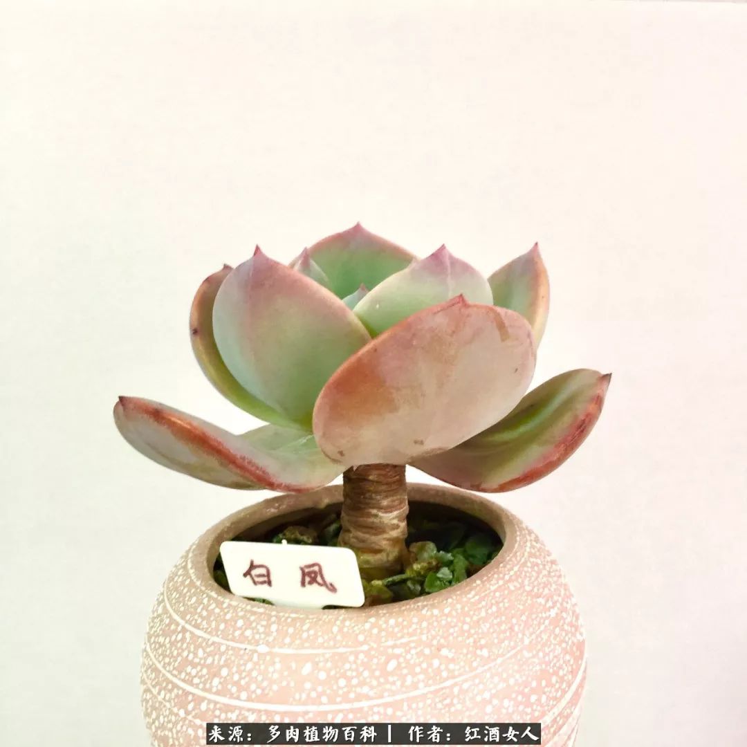 记录走过的美景留下美好的回忆,记录走过的每一段美好时光