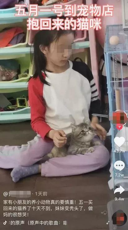 家中有小孩能养小动物吗,家里有宝宝千万别养小动物