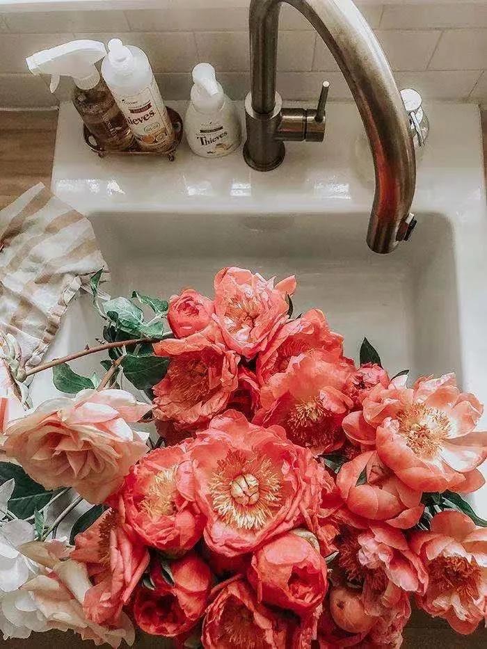 买花的套路和策略,买花的三个陷阱