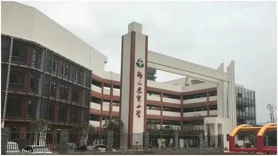 重庆树人小学分校有哪些,树人小学分校怎么样