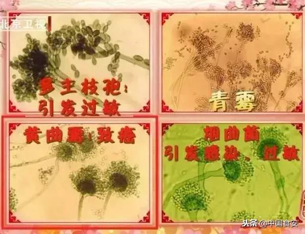 你身边的五种一级致癌物,每一个人的家中什么地方污染最重