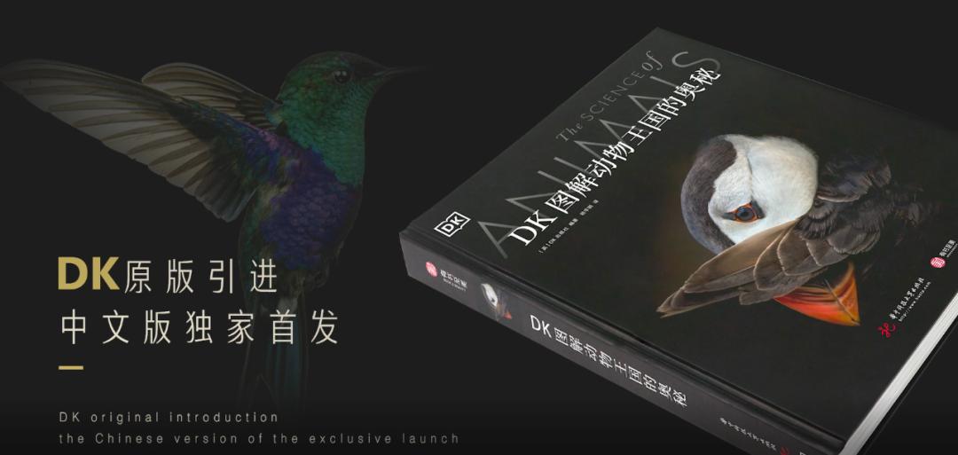 揭秘动物世界的“冷知识”,动物世界中的奇妙之处