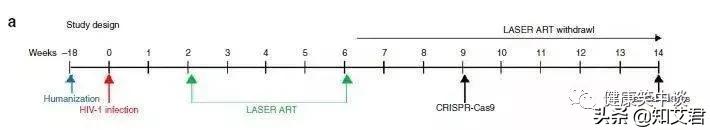 艾滋治愈奇迹,hiv艾滋病治愈率和致死率