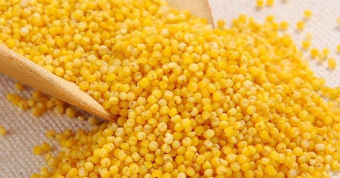 山西沁州黄小米介绍,山西沁州黄小米价格表