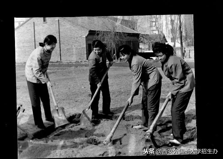 西安外国语大学70年校庆回放,西安外国语大学现状