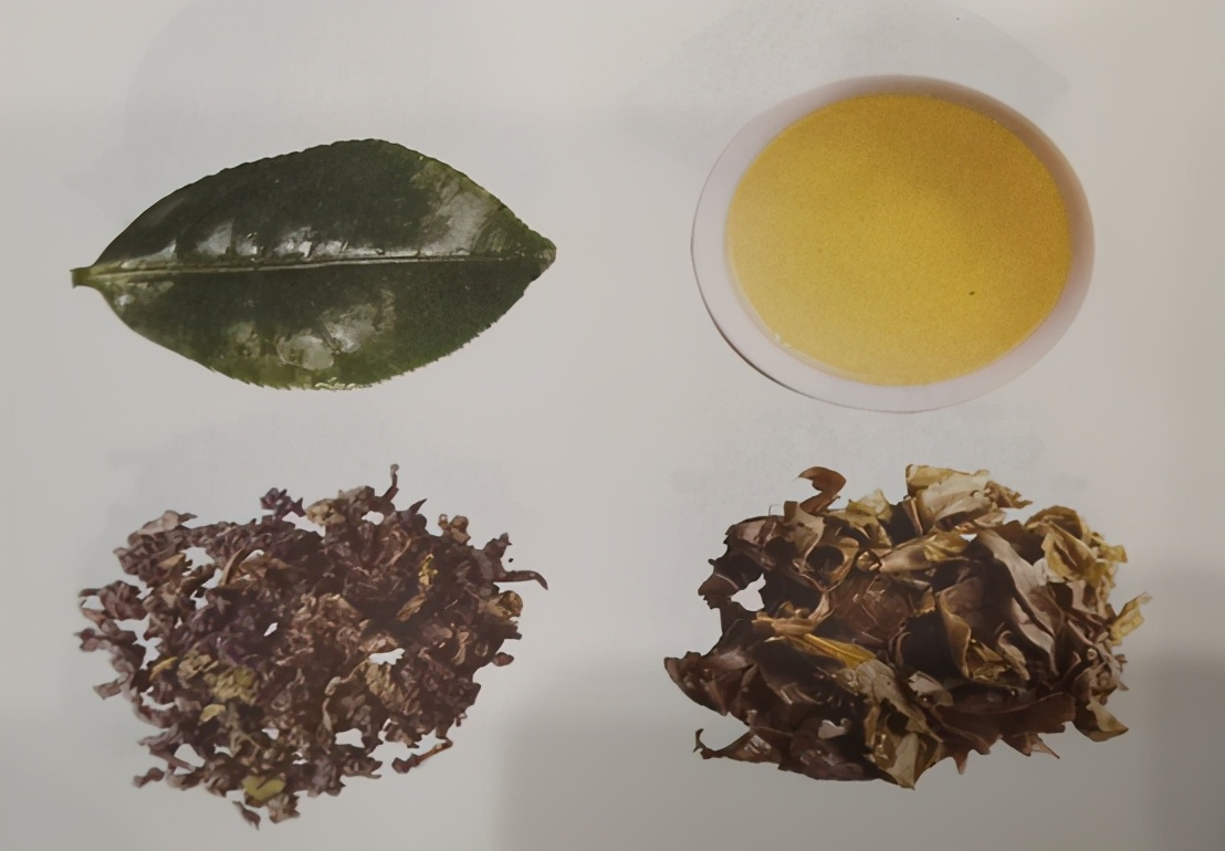 安溪铁观音有几个品种,安溪茶有什么品种