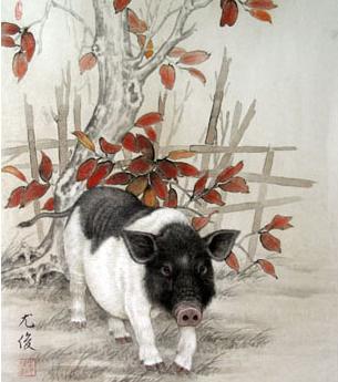 十二生肖是怎么排序的视频,十二生肖到底是怎么排序的