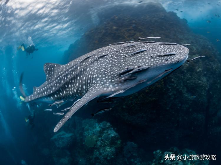 潜水小白必看,潜水圣地三天旅游攻略