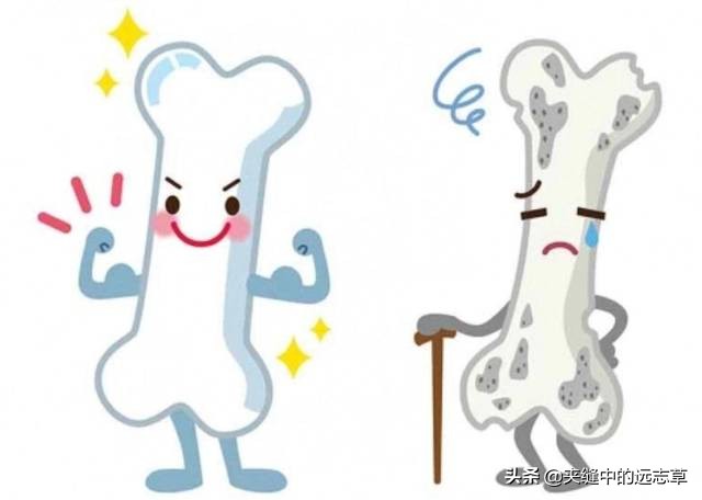 中医骨质疏松吃什么中草药,中医骨质疏松中药调理方法