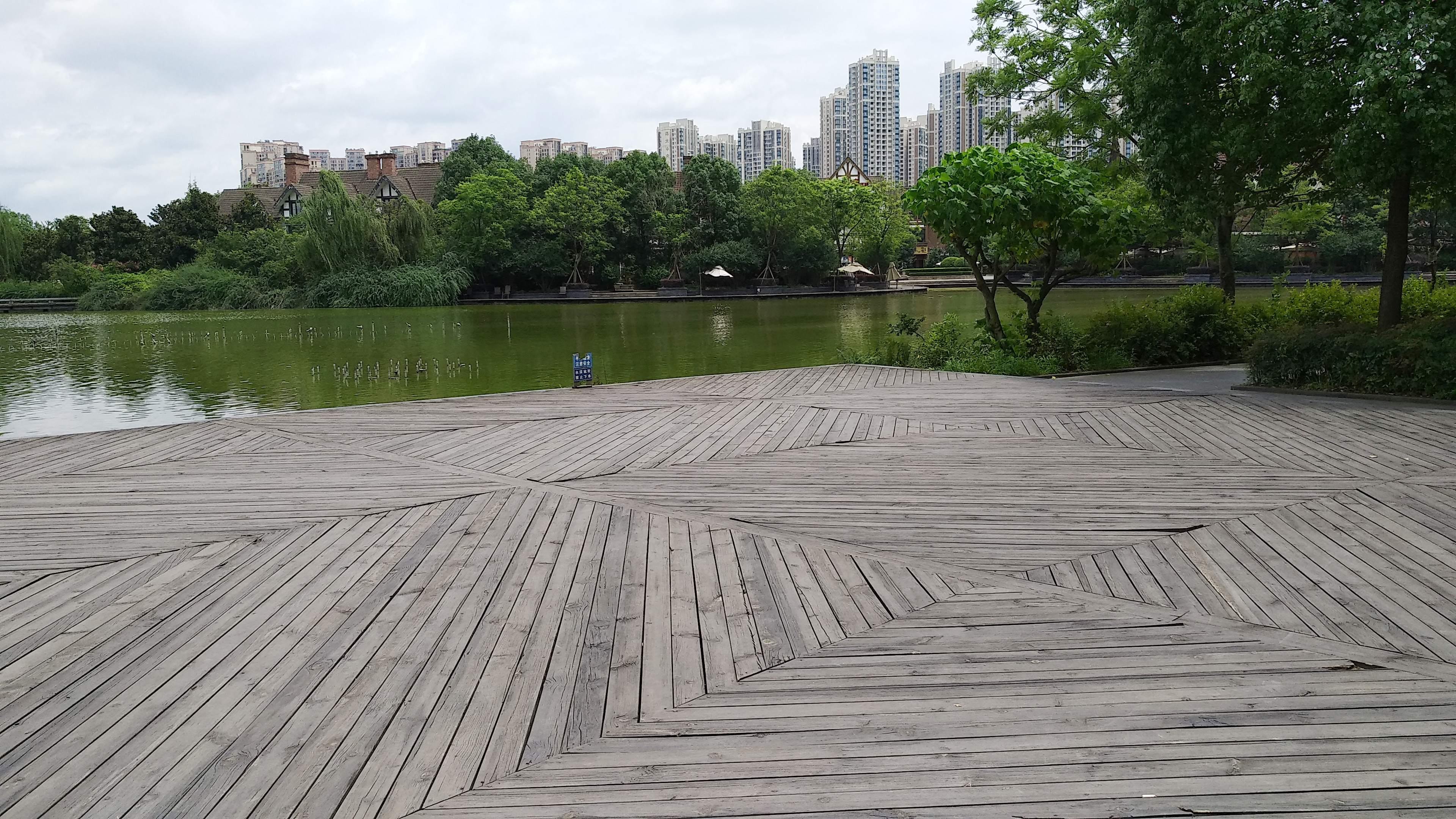 成都南湖公园钓鱼,成都南湖公园