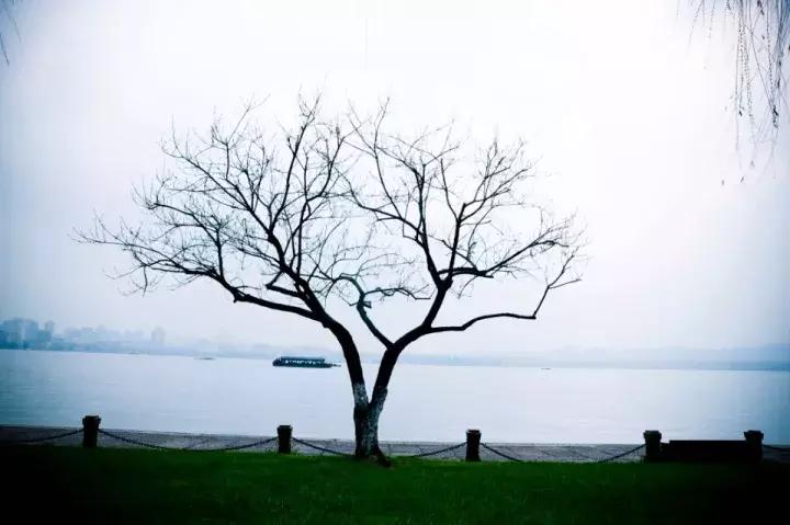 散眼子摆龙门阵,外一篇一一徐建成川味随笔