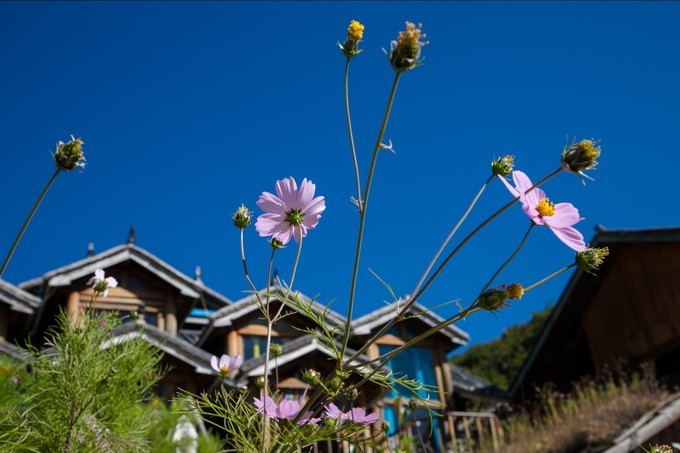 消失的地平线上的“香巴拉”和“女儿国”（二）