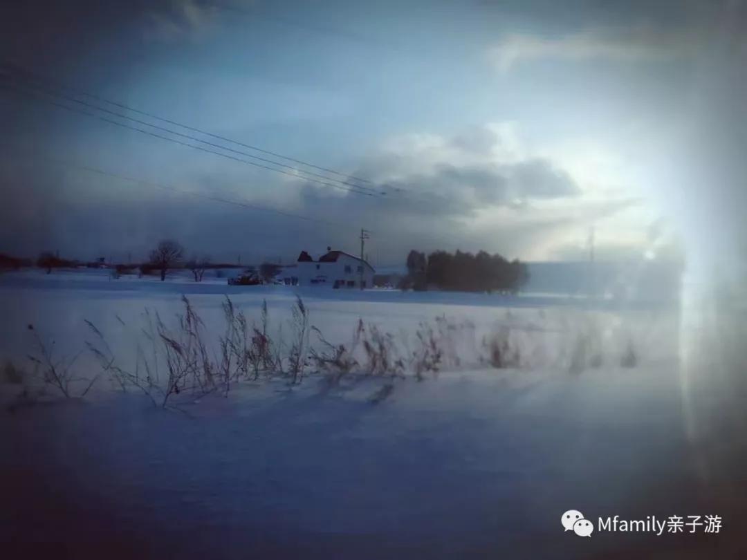 被疫情憋疯小朋友,被疫情憋疯的孩子们