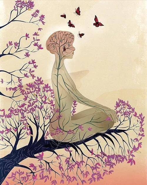 桑干河创业项目,桑干河老板