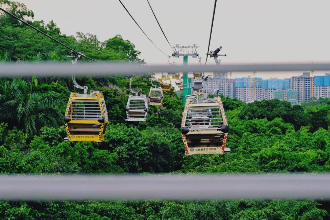 广州长隆购买攻略,广州长隆游玩攻略必买